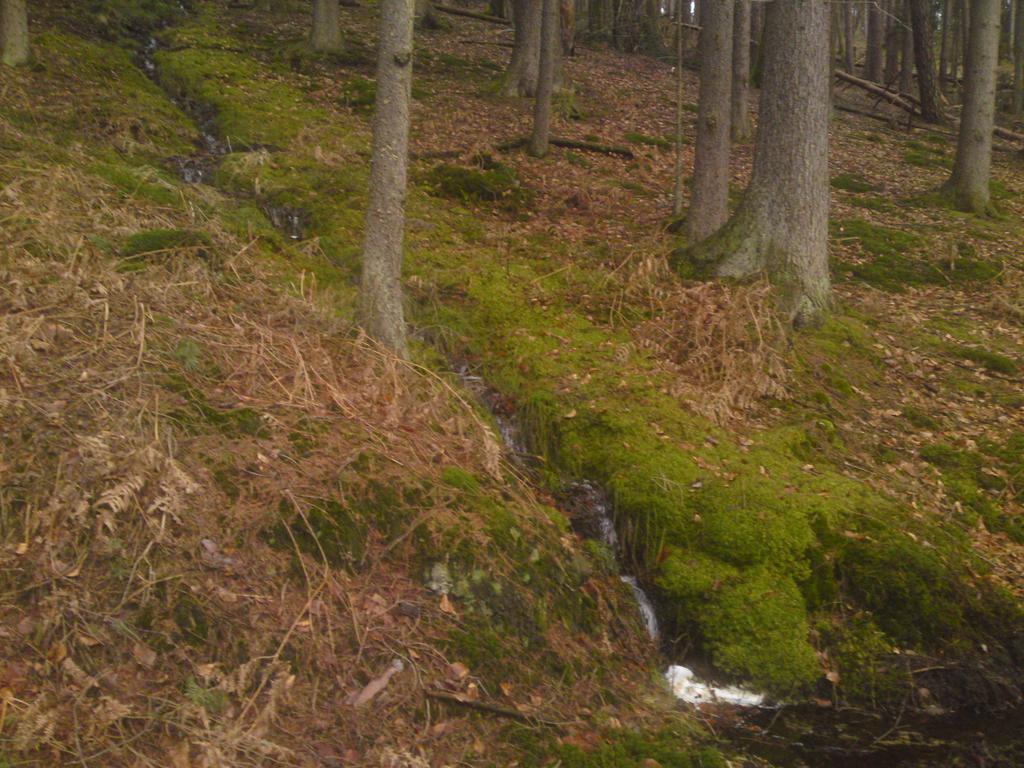 מלון Wildensee Landgasthof Waldfrieden מראה חיצוני תמונה